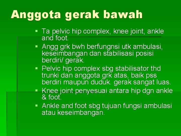 Anggota gerak bawah § Ta pelvic hip complex, knee joint, ankle and foot. §