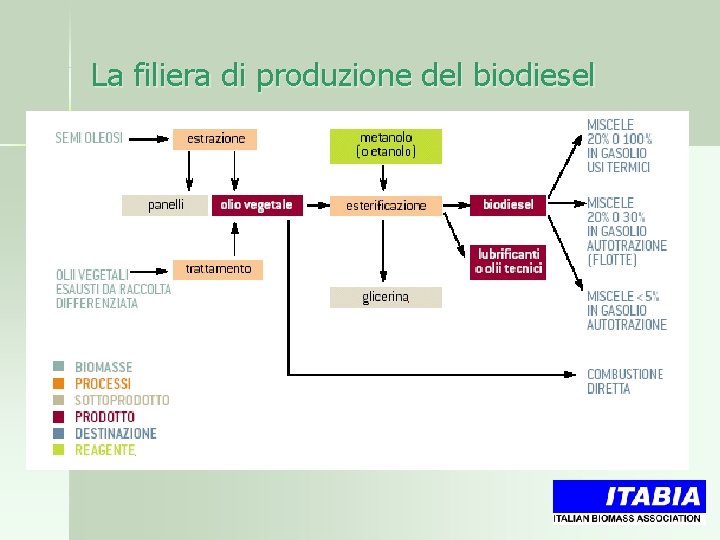 La filiera di produzione del biodiesel 