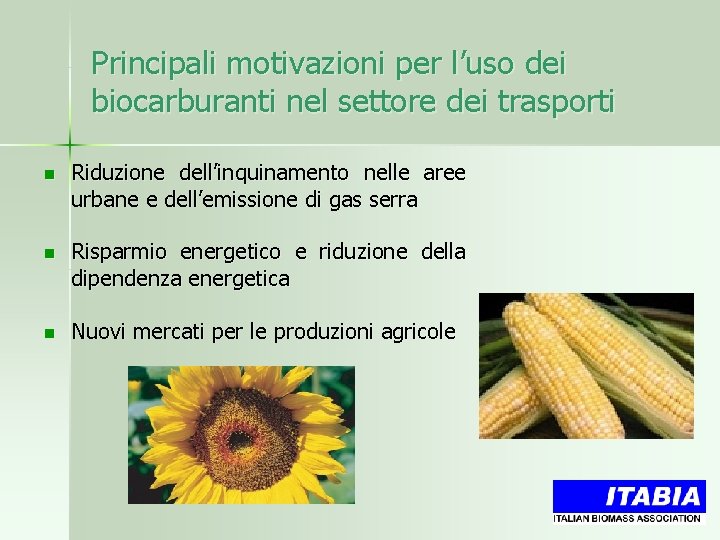 Principali motivazioni per l’uso dei biocarburanti nel settore dei trasporti n Riduzione dell’inquinamento nelle