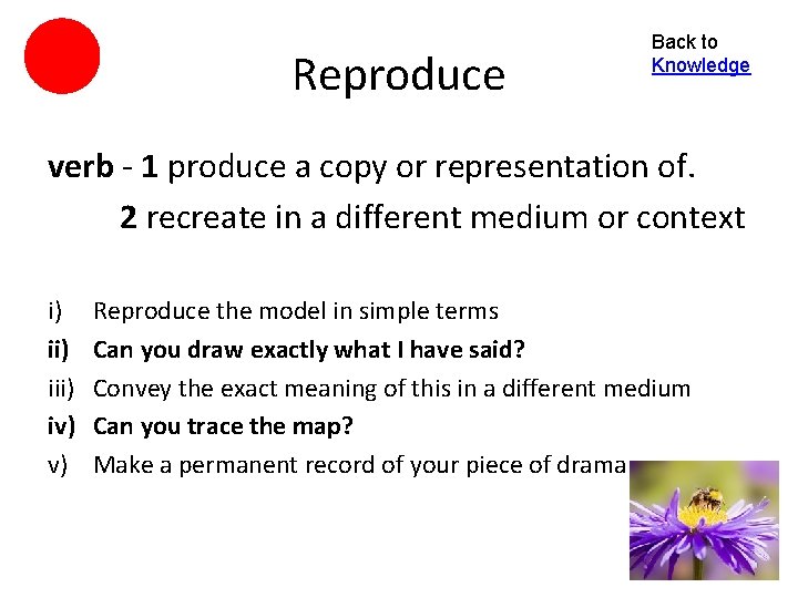 Reproduce Back to Knowledge verb - 1 produce a copy or representation of. 2