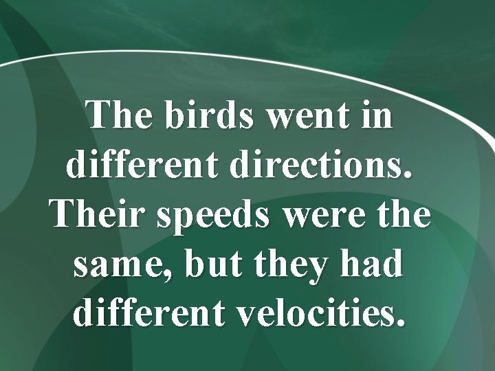 The birds went in different directions. Their speeds were the same, but they had