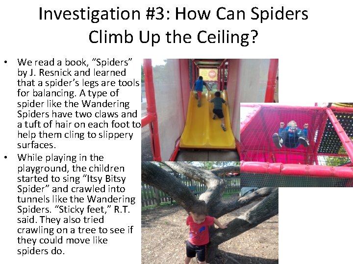 Investigation #3: How Can Spiders Climb Up the Ceiling? • We read a book,