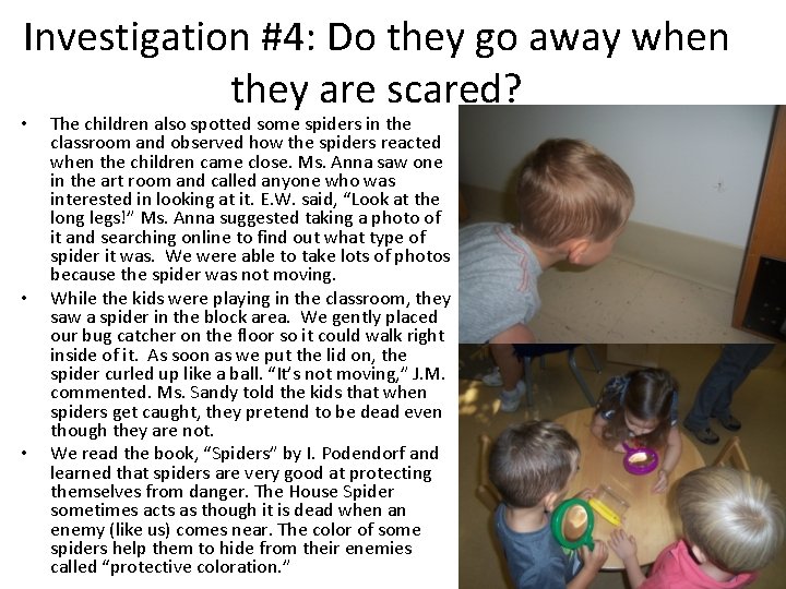 Investigation #4: Do they go away when they are scared? • • • The