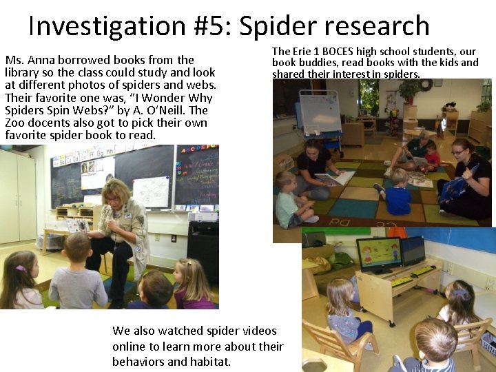 Investigation #5: Spider research Ms. Anna borrowed books from the library so the class