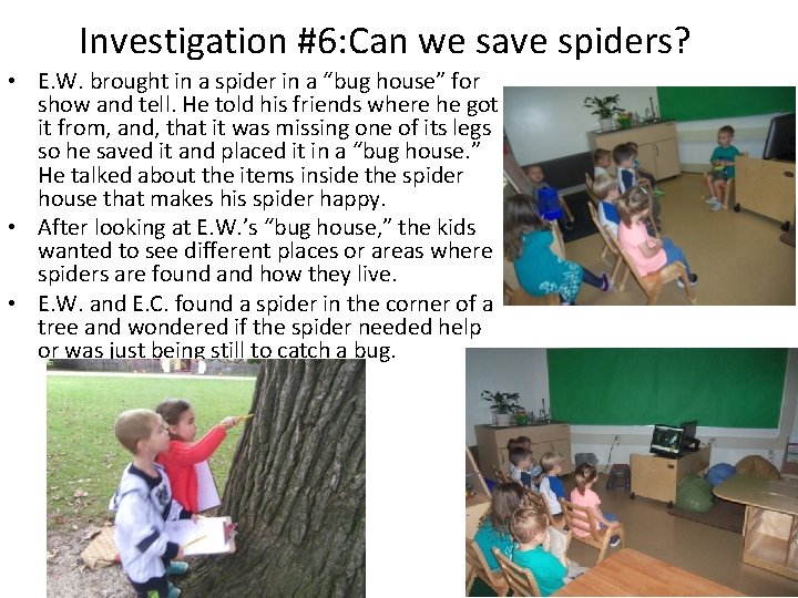 Investigation #6: Can we save spiders? • E. W. brought in a spider in