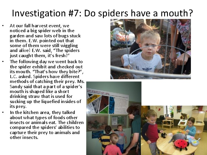 Investigation #7: Do spiders have a mouth? • • • At our fall harvest