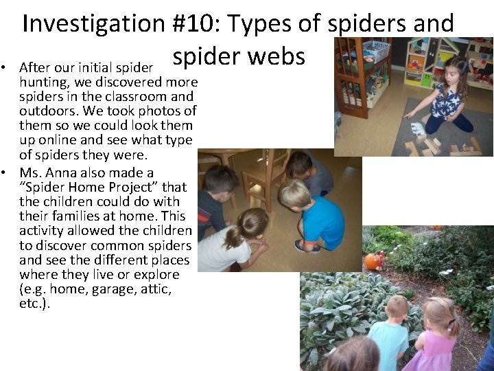  • Investigation #10: Types of spiders and After our initial spider webs hunting,