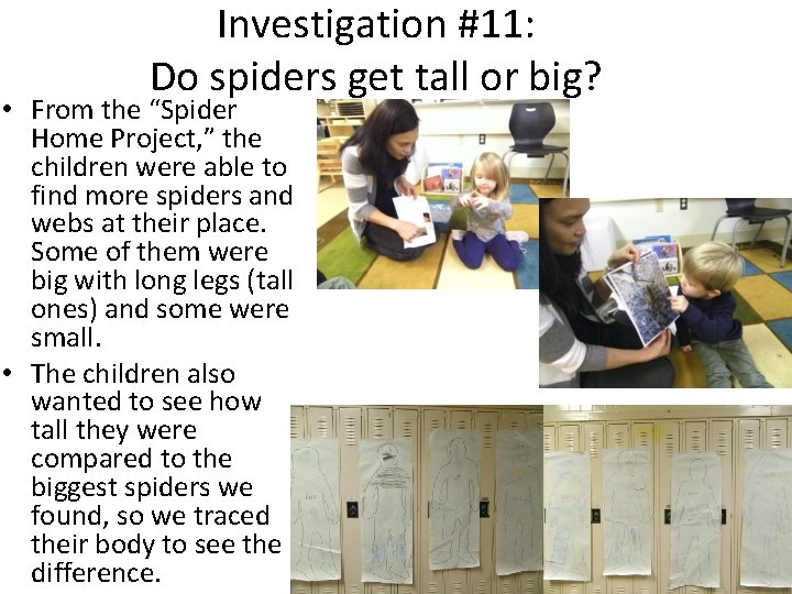 Investigation #11: Do spiders get tall or big? • From the “Spider Home Project,