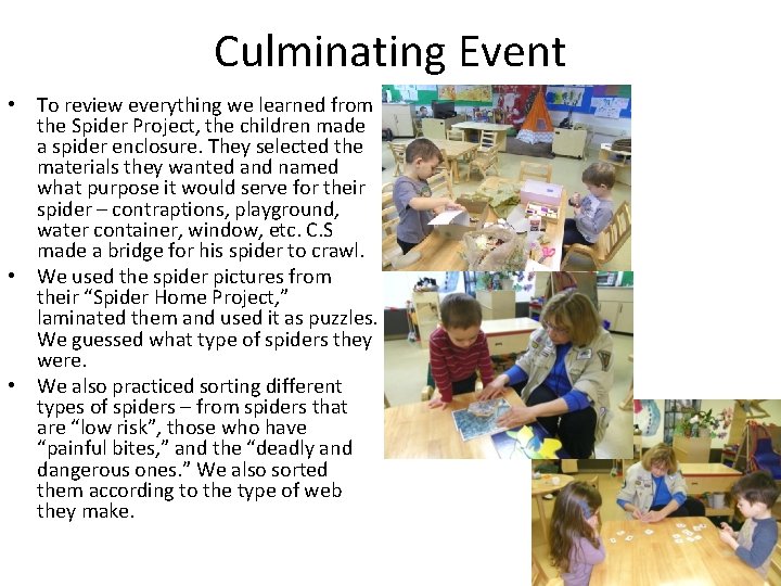 Culminating Event • To review everything we learned from the Spider Project, the children