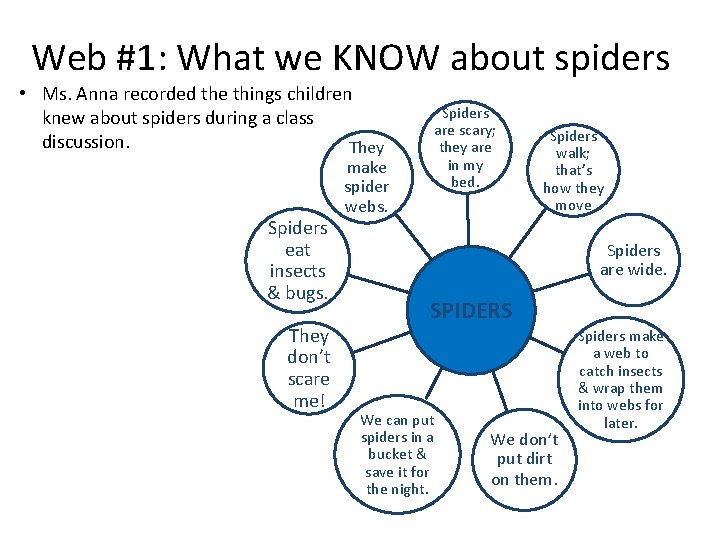 Web #1: What we KNOW about spiders • Ms. Anna recorded the things children