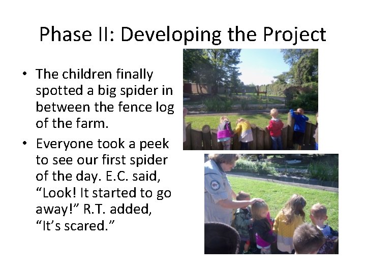 Phase II: Developing the Project • The children finally spotted a big spider in