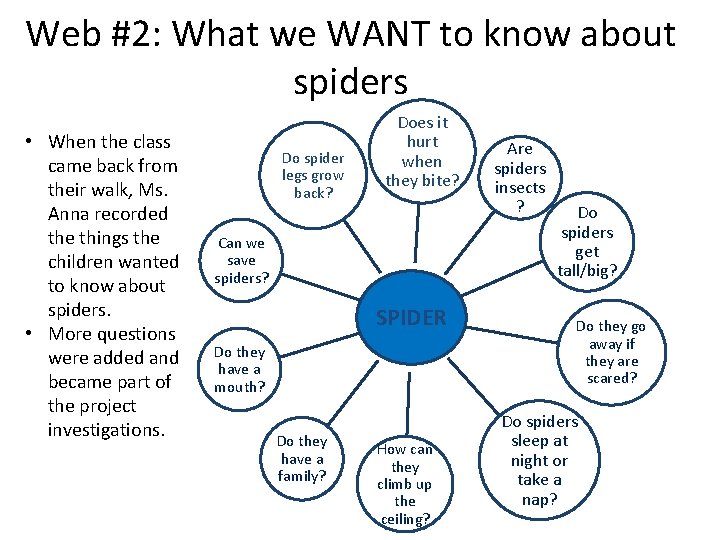 Web #2: What we WANT to know about spiders • When the class came