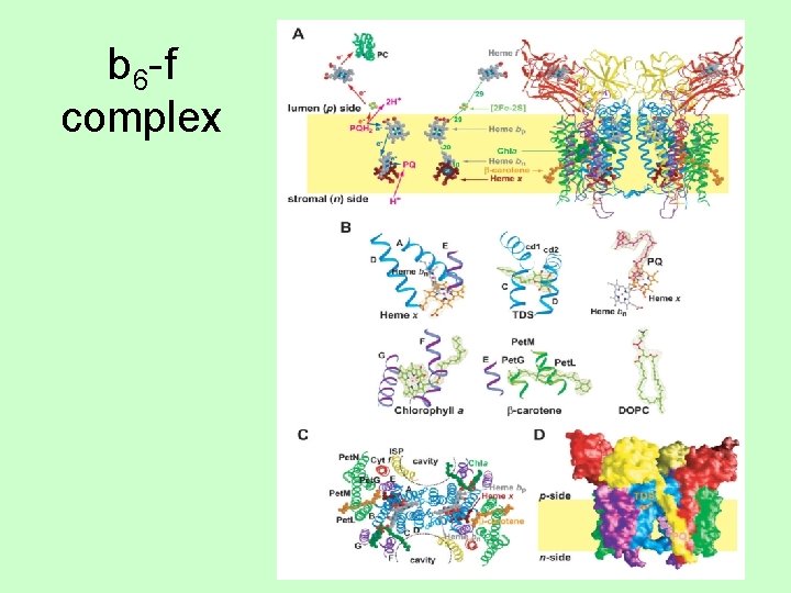b 6 -f complex 