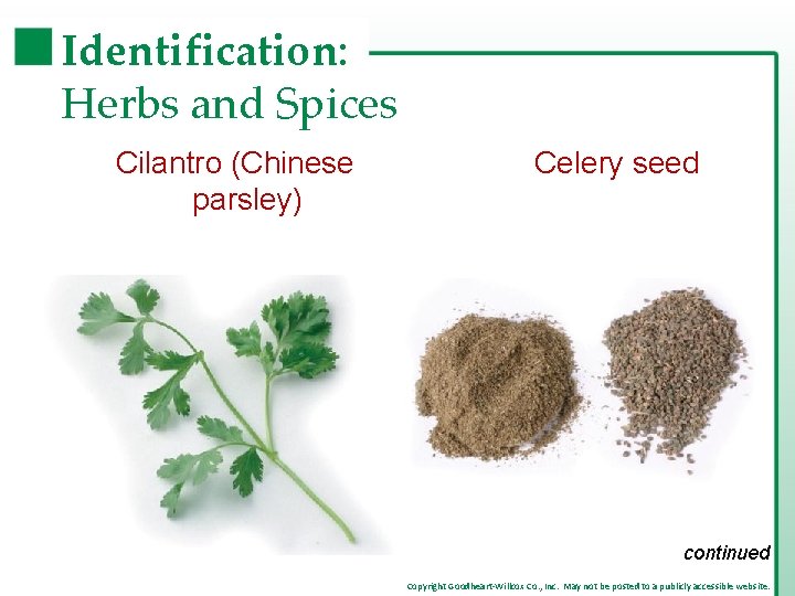 Identification: Herbs and Spices Cilantro (Chinese parsley) Celery seed continued Copyright Goodheart-Willcox Co. , Identification: Herbs and Spices Cilantro (Chinese parsley) Celery seed continued Copyright Goodheart-Willcox Co. ,