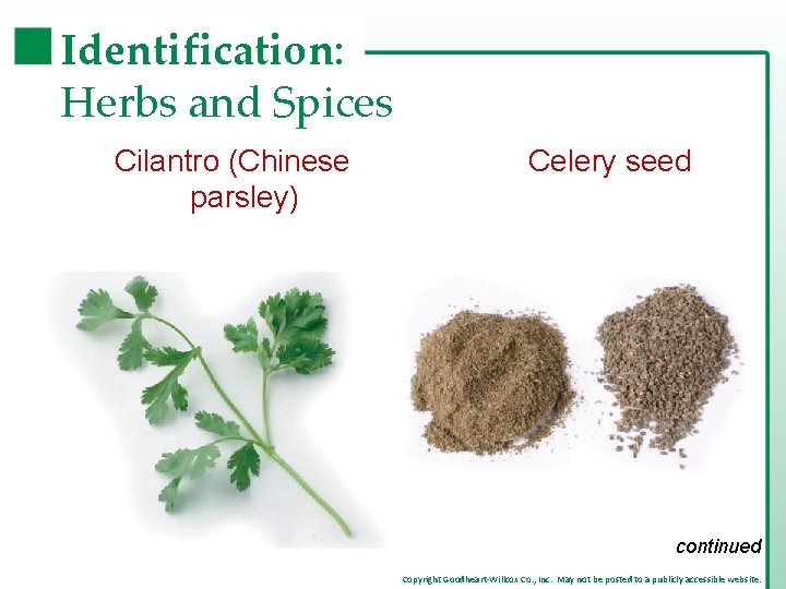 Identification: Herbs and Spices Cilantro (Chinese parsley) Celery seed continued Copyright Goodheart-Willcox Co. ,