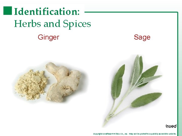 Identification: Herbs and Spices Ginger Sage continued Copyright Goodheart-Willcox Co. , Inc. May not