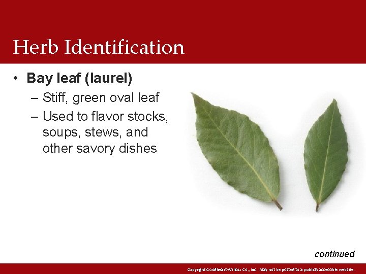 Herb Identification • Bay leaf (laurel) – Stiff, green oval leaf – Used to