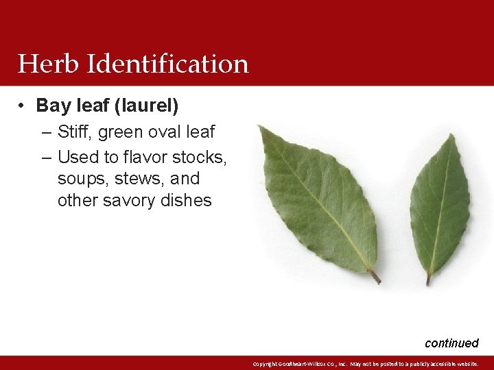 Herb Identification • Bay leaf (laurel) – Stiff, green oval leaf – Used to Herb Identification • Bay leaf (laurel) – Stiff, green oval leaf – Used to