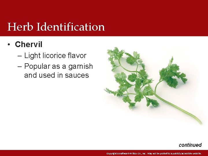 Herb Identification • Chervil – Light licorice flavor – Popular as a garnish and