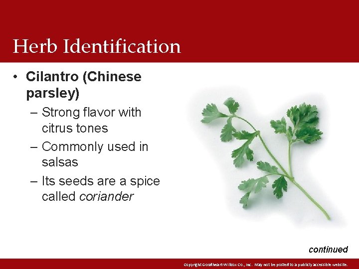 Herb Identification • Cilantro (Chinese parsley) – Strong flavor with citrus tones – Commonly