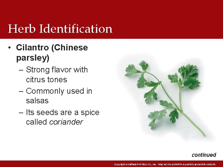 Herb Identification • Cilantro (Chinese parsley) – Strong flavor with citrus tones – Commonly Herb Identification • Cilantro (Chinese parsley) – Strong flavor with citrus tones – Commonly