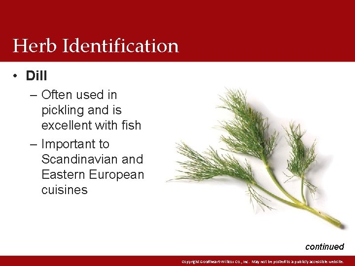 Herb Identification • Dill – Often used in pickling and is excellent with fish