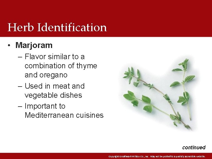 Herb Identification • Marjoram – Flavor similar to a combination of thyme and oregano