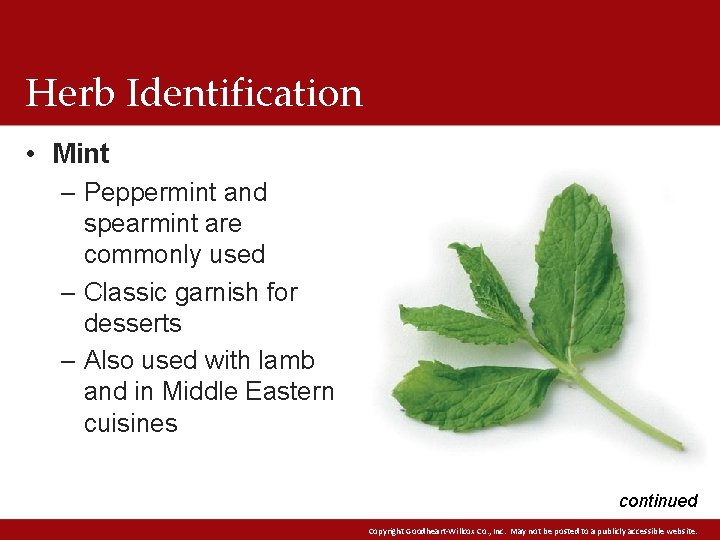 Herb Identification • Mint – Peppermint and spearmint are commonly used – Classic garnish Herb Identification • Mint – Peppermint and spearmint are commonly used – Classic garnish