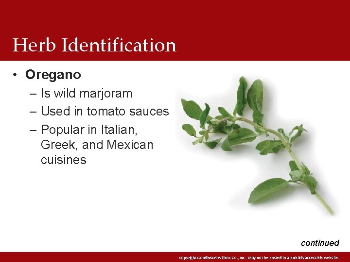 Herb Identification • Oregano – Is wild marjoram – Used in tomato sauces –
