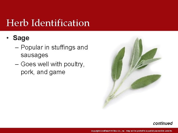 Herb Identification • Sage – Popular in stuffings and sausages – Goes well with Herb Identification • Sage – Popular in stuffings and sausages – Goes well with