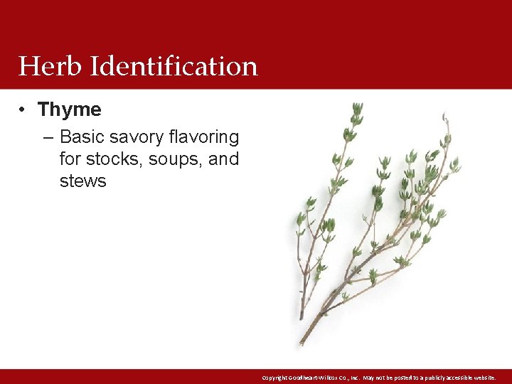 Herb Identification • Thyme – Basic savory flavoring for stocks, soups, and stews Copyright Herb Identification • Thyme – Basic savory flavoring for stocks, soups, and stews Copyright