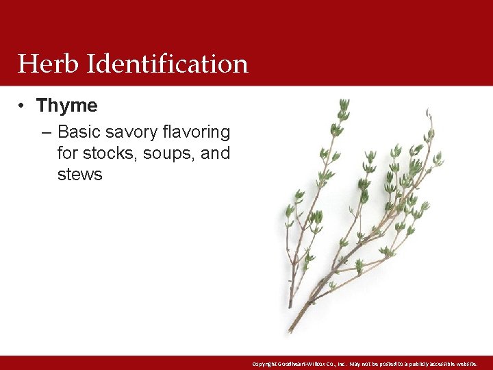 Herb Identification • Thyme – Basic savory flavoring for stocks, soups, and stews Copyright