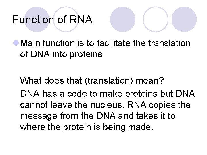 Function of RNA l Main function is to facilitate the translation of DNA into