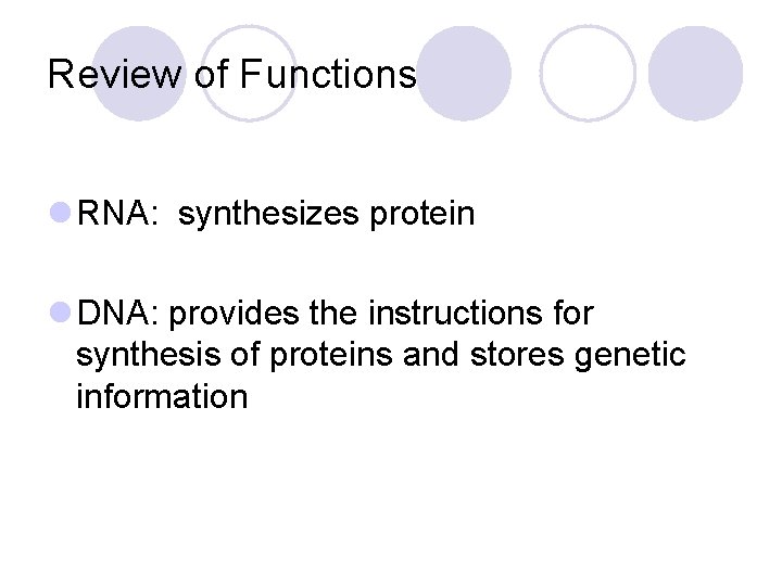 Review of Functions l RNA: synthesizes protein l DNA: provides the instructions for synthesis