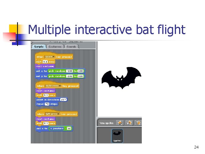 Multiple interactive bat flight 24 