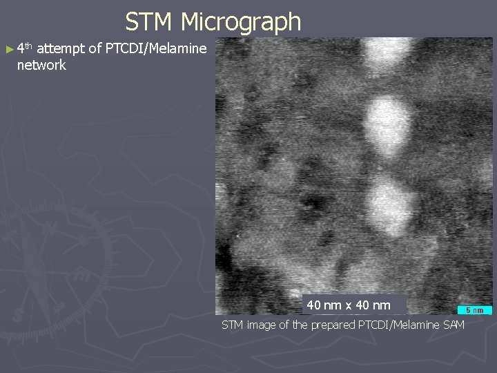 STM Micrograph ► 4 th attempt of PTCDI/Melamine network 40 nm x 40 nm