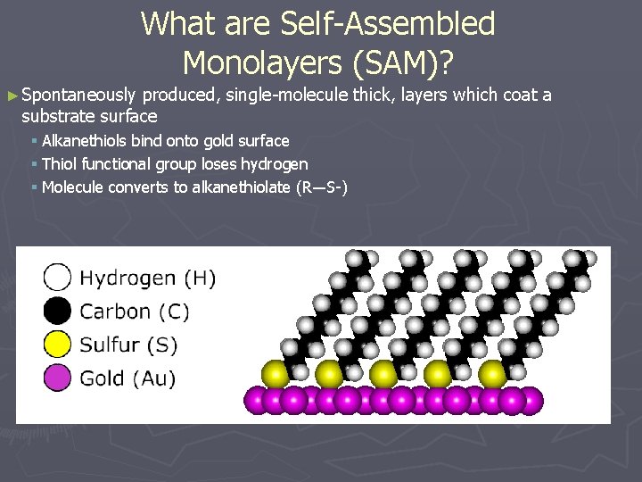 What are Self-Assembled Monolayers (SAM)? ► Spontaneously produced, single-molecule thick, layers which coat a