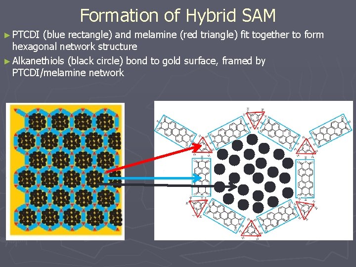 Formation of Hybrid SAM ► PTCDI (blue rectangle) and melamine (red triangle) fit together