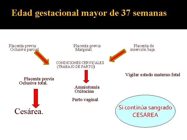 Edad gestacional mayor de 37 semanas Placenta previa Oclusiva parcial. Placenta previa Marginal. Placenta