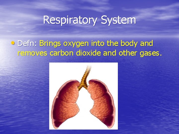 Respiratory System • Defn: Brings oxygen into the body and removes carbon dioxide and