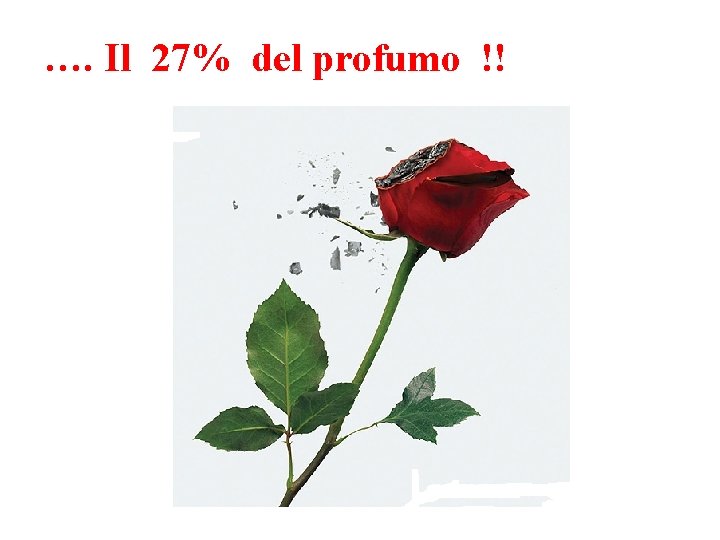 …. Il 27% del profumo !! 