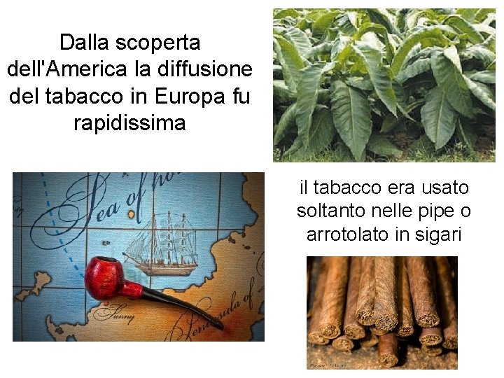 Dalla scoperta dell'America la diffusione del tabacco in Europa fu rapidissima il tabacco era