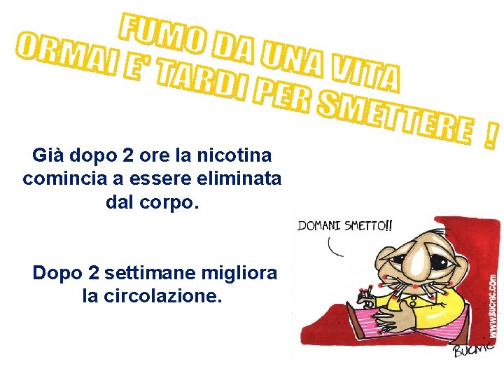 Già dopo 2 ore la nicotina comincia a essere eliminata dal corpo. Dopo 2