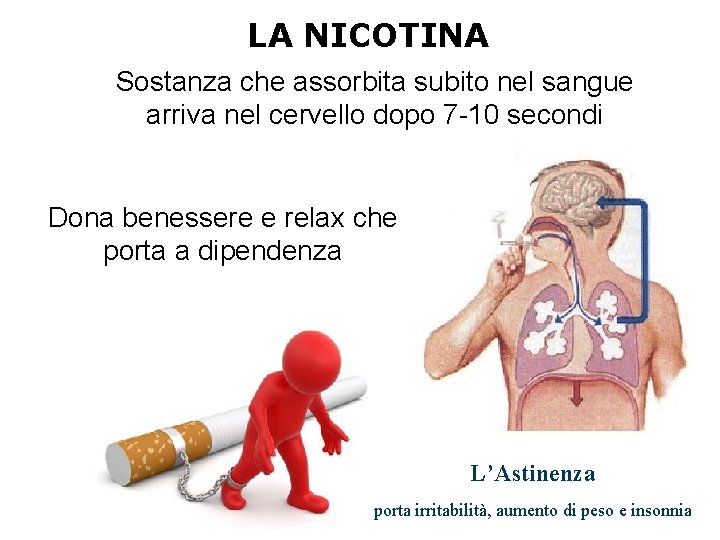 LA NICOTINA Sostanza che assorbita subito nel sangue arriva nel cervello dopo 7 -10