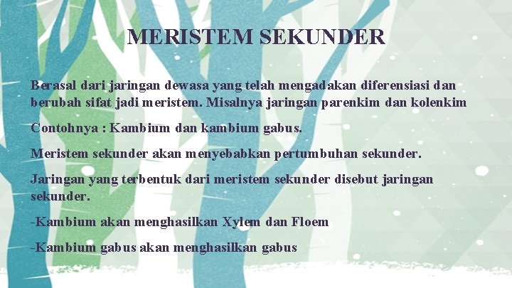 MERISTEM SEKUNDER Berasal dari jaringan dewasa yang telah mengadakan diferensiasi dan berubah sifat jadi