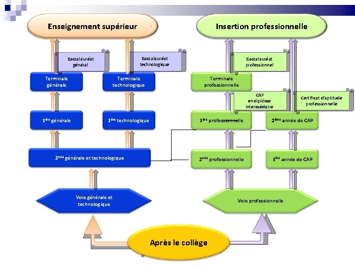 Enseignement supérieur Insertion professionnelle Baccalauréat technologique Baccalauréat général Terminale générale Terminale technologique Baccalauréat professionnel