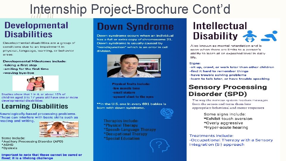 Internship Project-Brochure Cont’d 