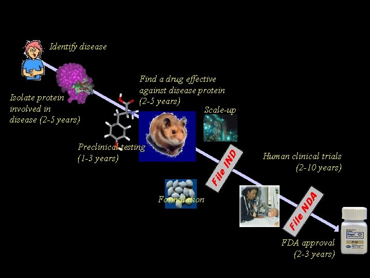 Drug Discovery & Development Identify disease Human clinical trials (2 -10 years) ND le