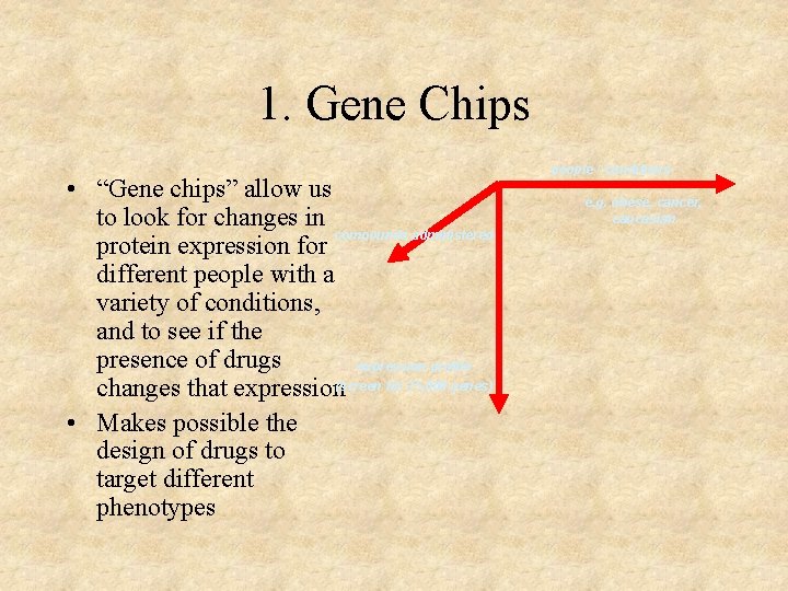 1. Gene Chips • “Gene chips” allow us to look for changes in compounds
