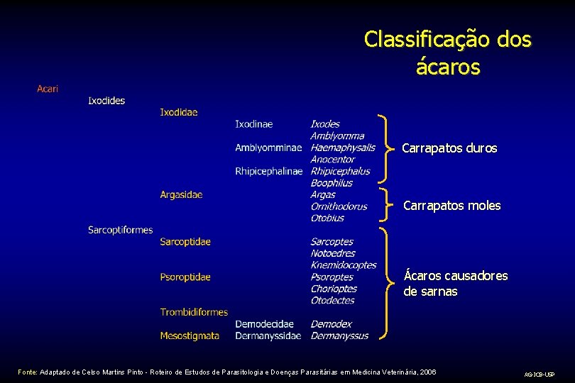 Classificação dos ácaros Carrapatos duros Carrapatos moles Ácaros causadores de sarnas Fonte: Adaptado de